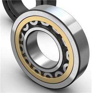 NU1010 ML SKF Cylindrical Roller Bearing