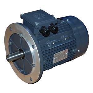 0.12kw 2Pole B5 TECA TEC Flange Motor 56M2B-TECA