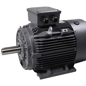 1.1kw 4Pole B3 IE2 TECC TEC C/I Motor Foot 90S 24MM