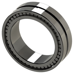 SL02 4920 A MTK Full Complement Cylindrical Roller Bearing