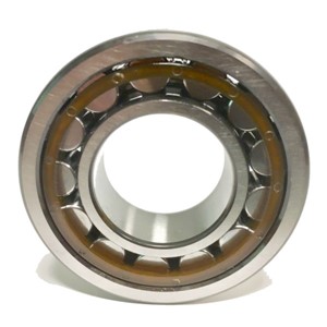 NU321 ECJ SKF Cylindrical Roller Bearing