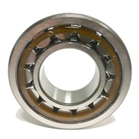 NU320 ECP SKF Cylindrical Roller Bearing