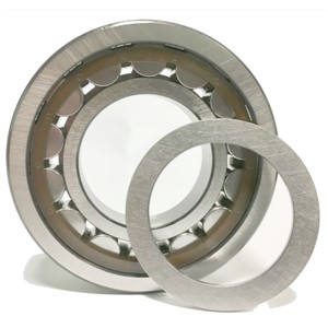 NUP311 ECP SKF Cylindrical Roller Bearing