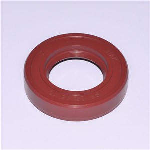 100X120X12 Viton Metric Oil Seal