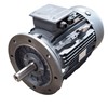30.0kw 2Pole B5 IE2 TECC TEC C/I Motor Flange 200LA 55M